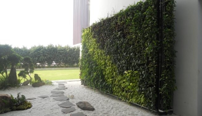 tregreen_living wall 3