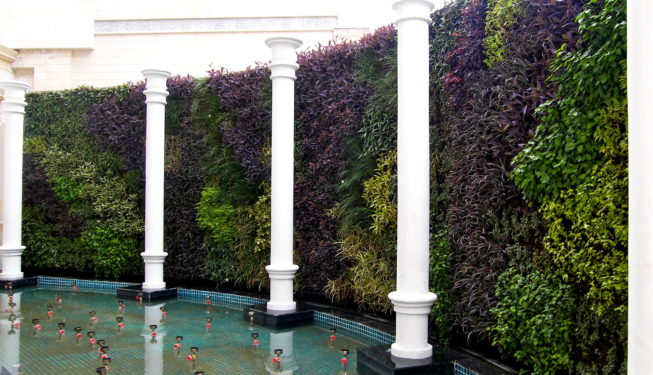 living wall vertical garden