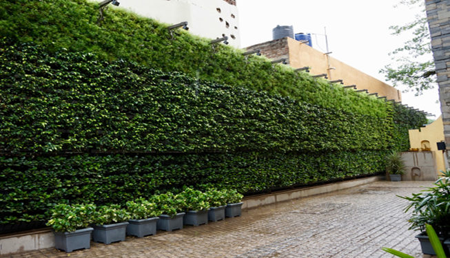 omini_green_green_wall_tresgreen